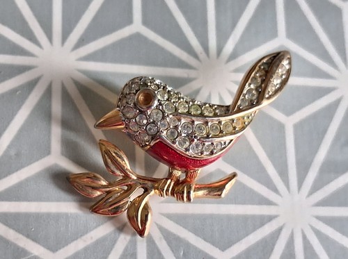 Costume robin brooch with red - costume,