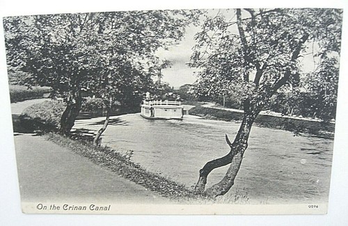 Antique postcard linnet on - antique,