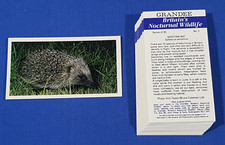 Grandee Cigarette Cards