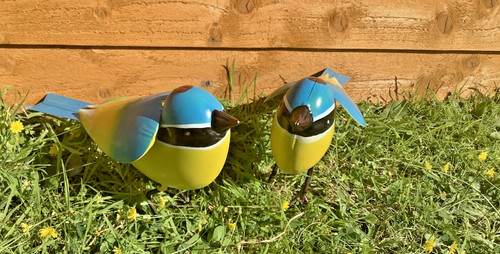 Blue tit bird garden - blue, ornament