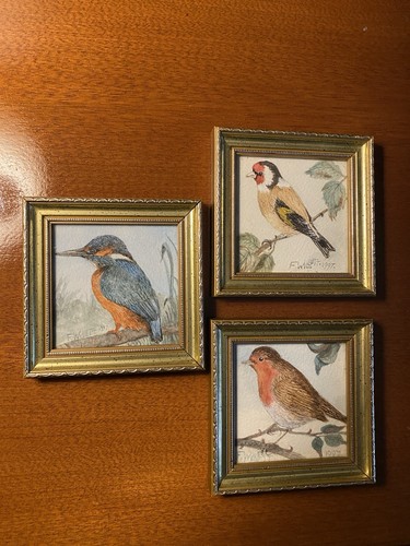 Miniature wild bird - wild,