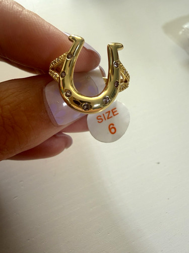 The lucky horseshoe - lucky,