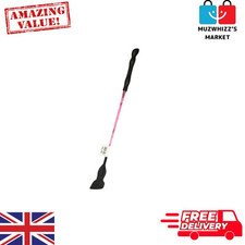 Horse Riding Whip Training