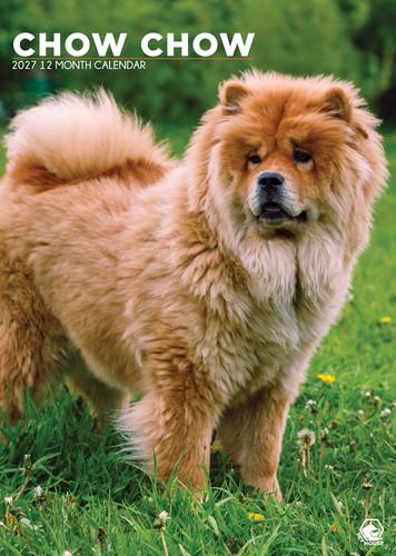 Chow dog 2027 calendars - dog,