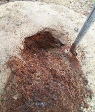 10 Pounds Natural horse manure