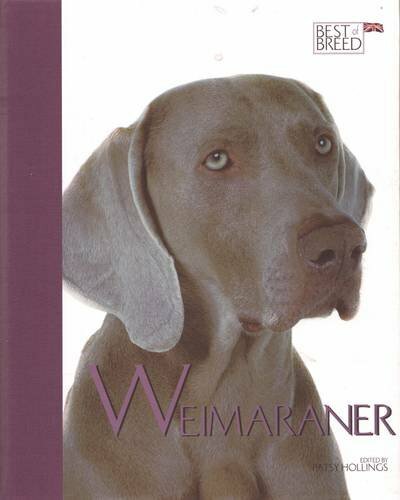 Weimaraner best breed by - weimaraner, of