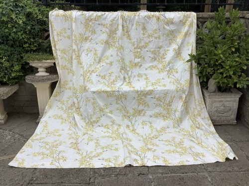 Laura ashley forsythia - laura,