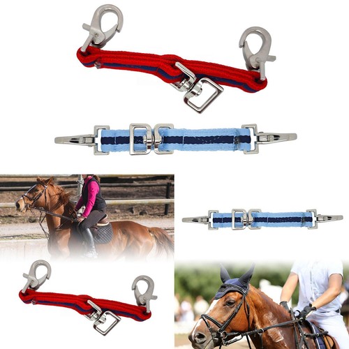 Horse lunge strap - horse,