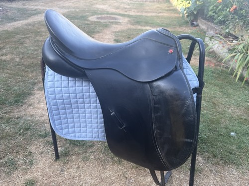 Albion dressage nm - albion,