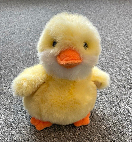 Russ cuddles yellow duckling - russ,