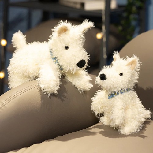 Fluffy west highland terrier - fluffy,