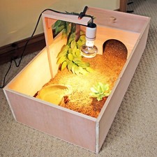 Tortoise Table Small Pet