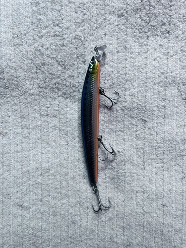 Daiwa shore line shiner - shiner, r50