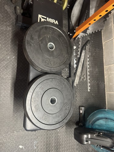 Bison 25kg bumper plates - bison,