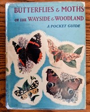 Butterflies and moths - butterflies, of