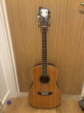 Ozark 3134 and Laney LG12