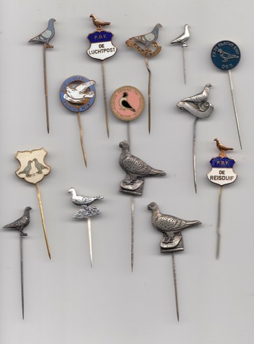 Vintage pigeon dove - pigeon, pin