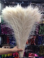 10-100pcs beautiful real