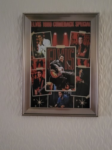 Elvis poster taupe - poster,