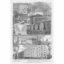 LONDON Max Greger's Cellars in Southwark - Antique Print 1882