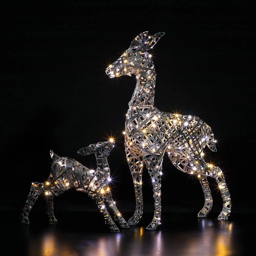 Noma deer fawn outdoor - fawn,