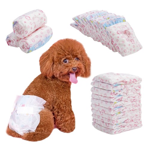 Disposable female dog nappies - disposable,