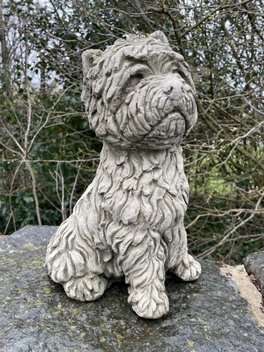 West highland terrier - highland,