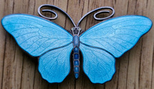 Marius Hammer Norway Butterfly