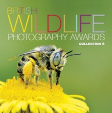 British Wildlife Photography