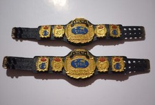 Mattel WWE Elite Shiny WCW Tag