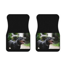 Car Mats (2x Front)