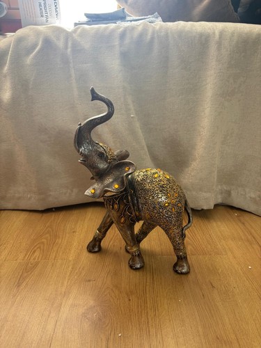 Elephant orange sequenced - orange,