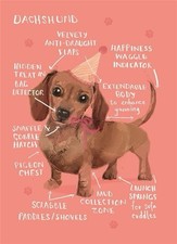 Sausage Dog Greeting Birthday Card - Dachshund - Brown - Party Hat