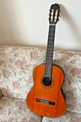 Flamenco nylon string - 6,