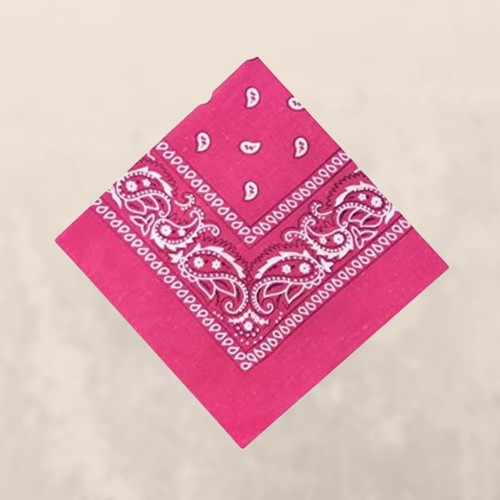 Paisley bandana bandanna - bandana,