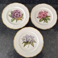 Spode Rhododendrons 3 , 26.5cm