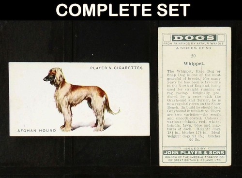 Dogs player - (full, length)