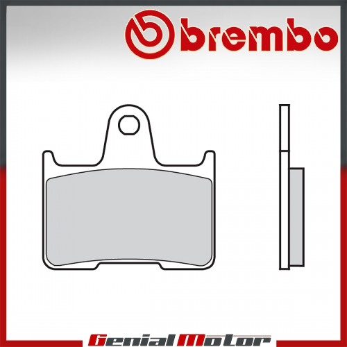 Rear brembo brake - rear,