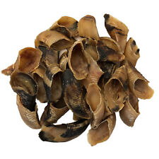 HOOVES - Natural Dried Empty