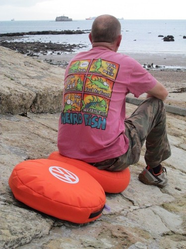 Campervan cushion outdoor - campervan,