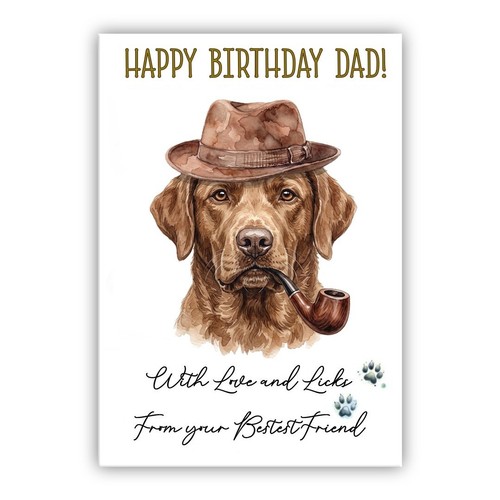 Chesapeake bay retriever - bay,