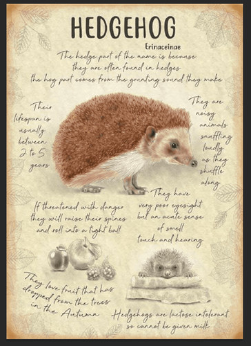 Hedgehog metal sign greenhouse