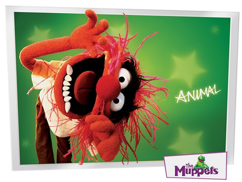 Animal the muppets - muppets, iron