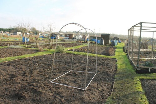 Small fruit vegetable - fruit, cages