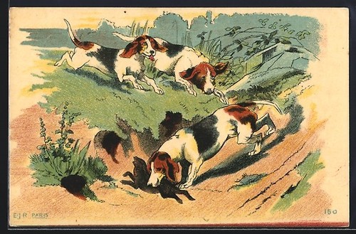 Postcard pack hunting dogs - of,