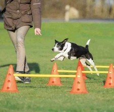 Trixie Dog Activity Obstacle Training Agility Set with 6 Cones (jumps) & 3 Poles