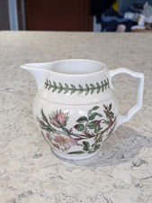 Portmeirion Botanic Garden Dog