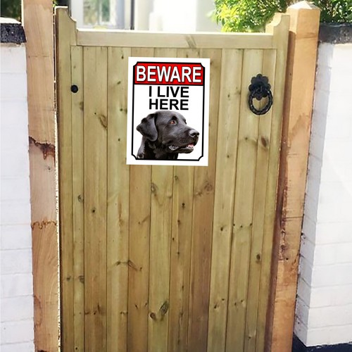 Beware live here black - i,