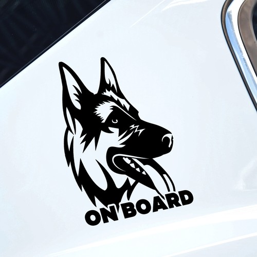 German shepherd dog - dog, board