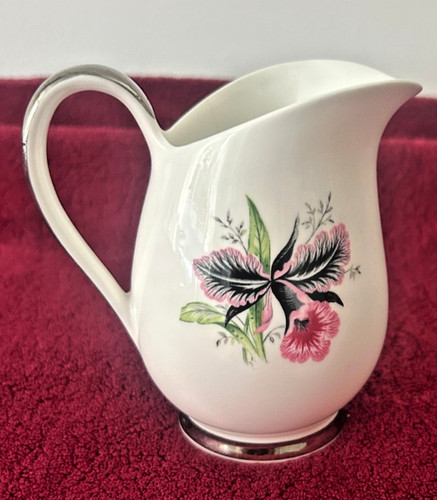 Queen anne bone china - bone, cream